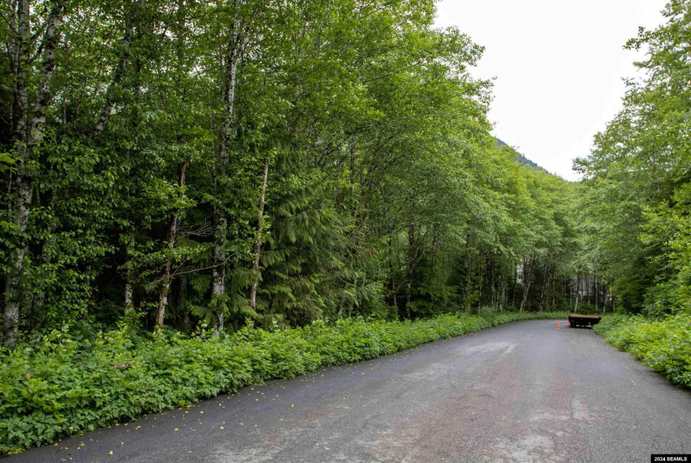 800 BLK Miller Ridge Road, Ketchikan, Alaska 99901, ,Single Family/duplex,Land,Miller Ridge Road,24511