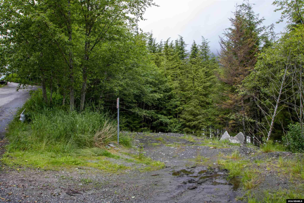 800 BLK Miller Ridge Road, Ketchikan, Alaska 99901, ,Single Family/duplex,Land,Miller Ridge Road,24511