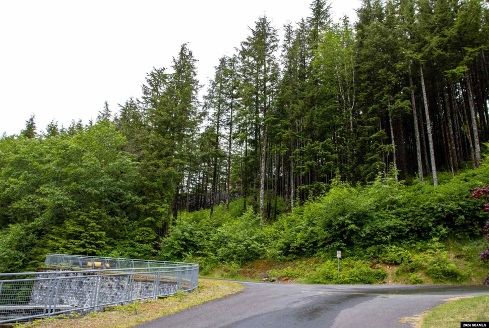 800 BLK Miller Ridge Road, Ketchikan, Alaska 99901, ,Single Family/duplex,Land,Miller Ridge Road,24511