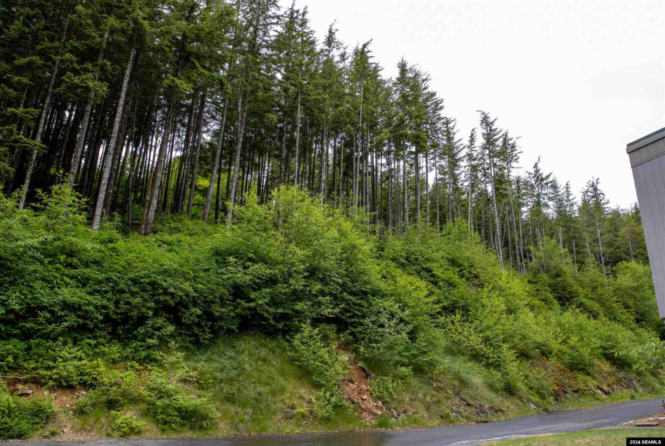 800 BLK Miller Ridge Road, Ketchikan, Alaska 99901, ,Single Family/duplex,Land,Miller Ridge Road,24511