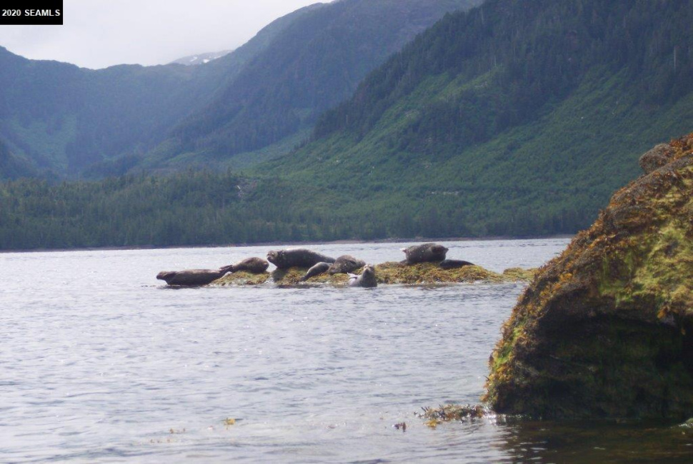 NHN Legal Address Only, Craig, Alaska 99921, ,Remote Recreational,Land,Legal Address Only,20171
