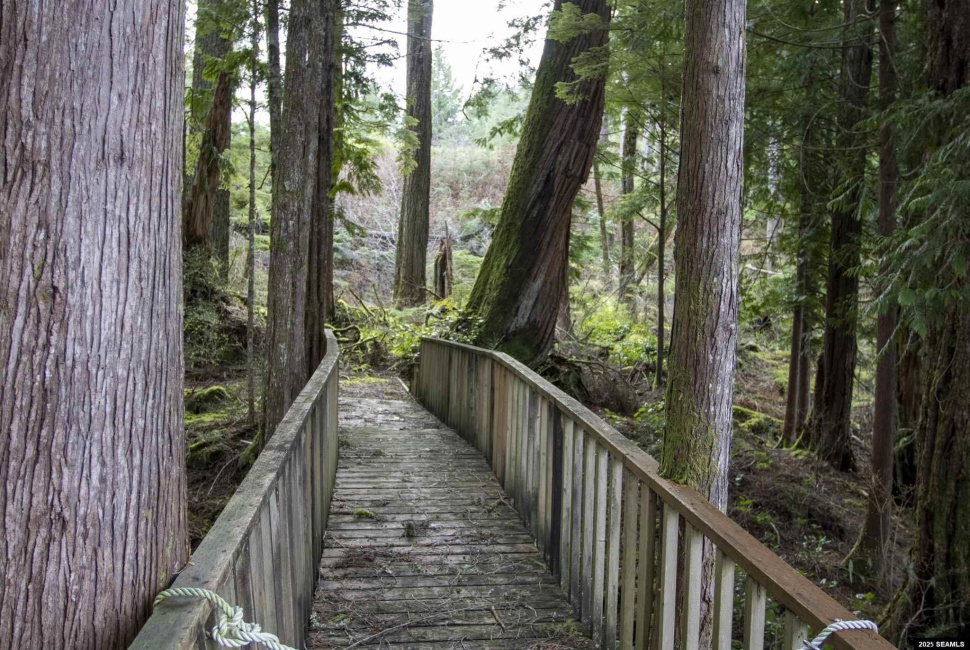 Lot 2 Beacon Hill Lane, Ketchikan, Alaska 99901, ,Single Family/duplex,Land,Beacon Hill Lane,25020