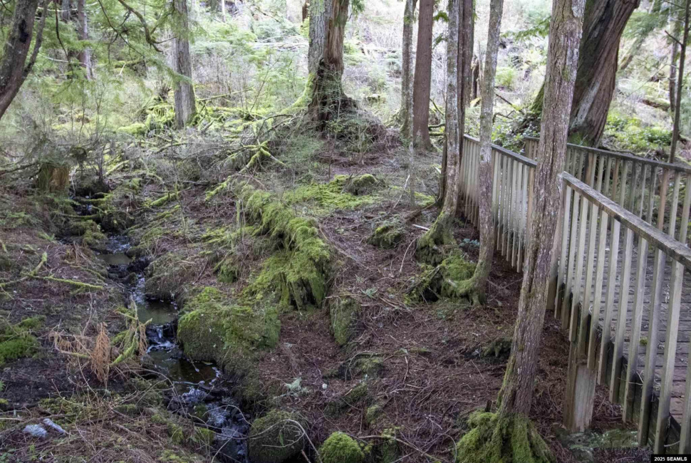 Lot 2 Beacon Hill Lane, Ketchikan, Alaska 99901, ,Single Family/duplex,Land,Beacon Hill Lane,25020
