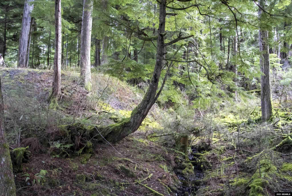 Lot 2 Beacon Hill Lane, Ketchikan, Alaska 99901, ,Single Family/duplex,Land,Beacon Hill Lane,25020
