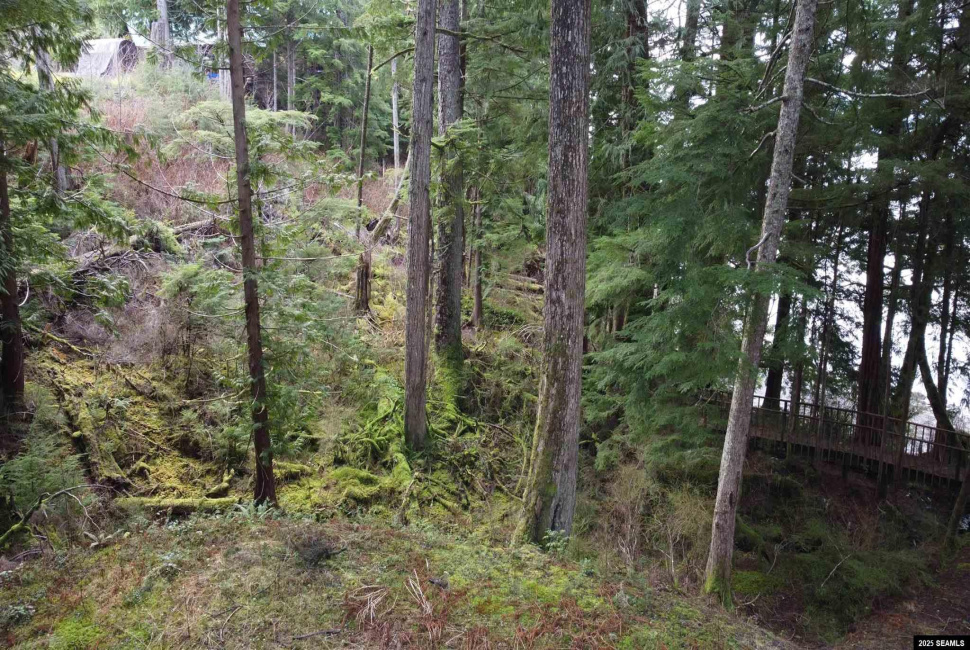 Lot 2 Beacon Hill Lane, Ketchikan, Alaska 99901, ,Single Family/duplex,Land,Beacon Hill Lane,25020