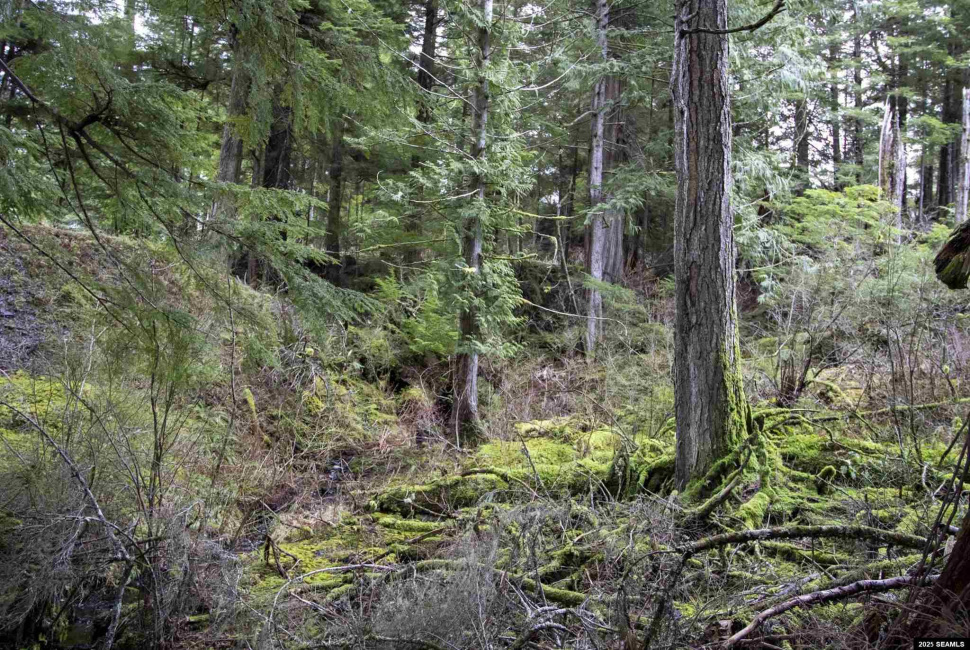 Lot 2 Beacon Hill Lane, Ketchikan, Alaska 99901, ,Single Family/duplex,Land,Beacon Hill Lane,25020