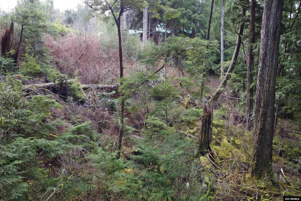 Lot 2 Beacon Hill Lane, Ketchikan, Alaska 99901, ,Single Family/duplex,Land,Beacon Hill Lane,25020