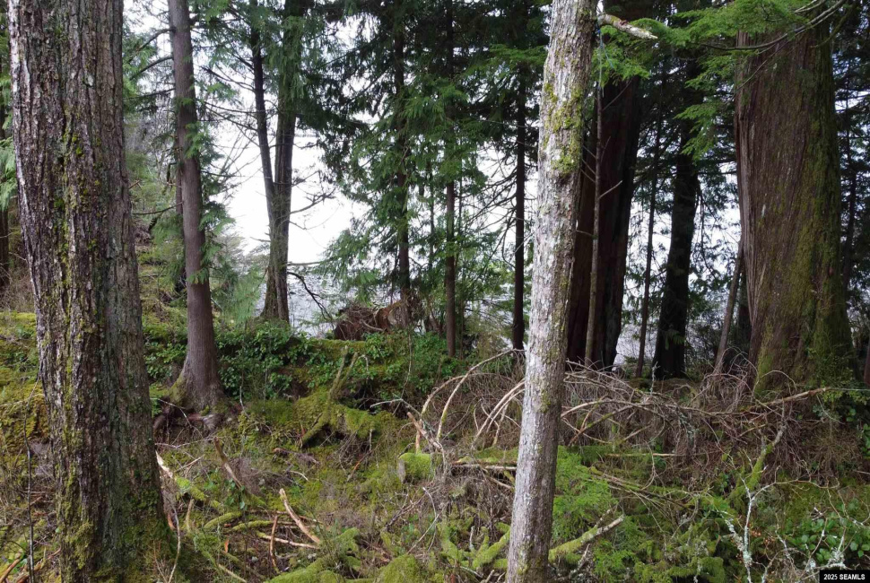 Lot 2 Beacon Hill Lane, Ketchikan, Alaska 99901, ,Single Family/duplex,Land,Beacon Hill Lane,25020