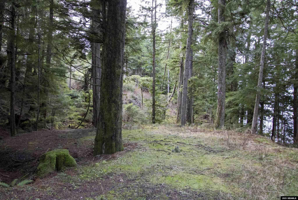 Lot 2 Beacon Hill Lane, Ketchikan, Alaska 99901, ,Single Family/duplex,Land,Beacon Hill Lane,25020