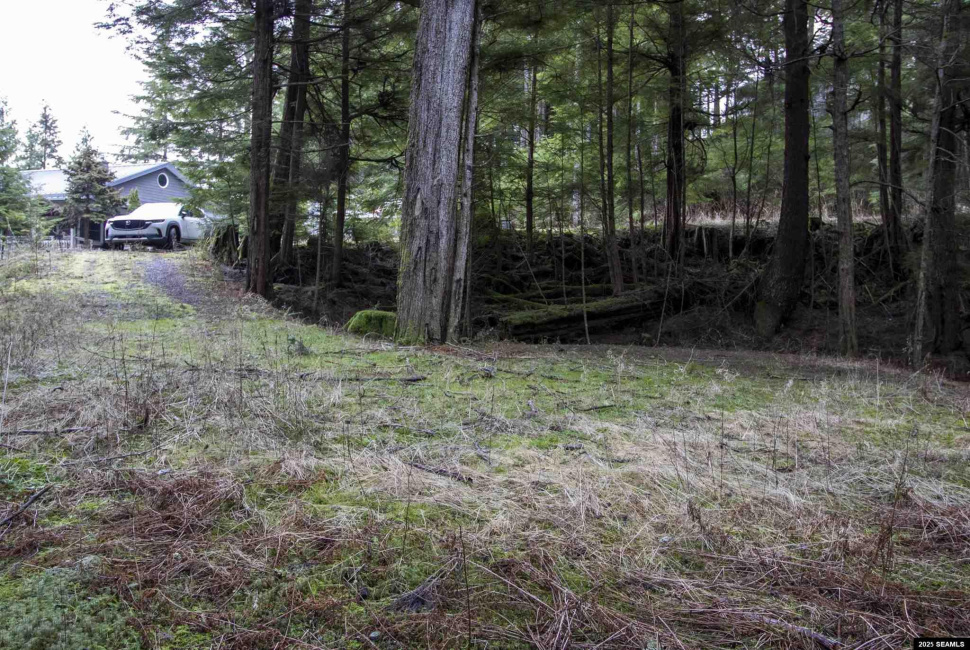 Lot 2 Beacon Hill Lane, Ketchikan, Alaska 99901, ,Single Family/duplex,Land,Beacon Hill Lane,25020