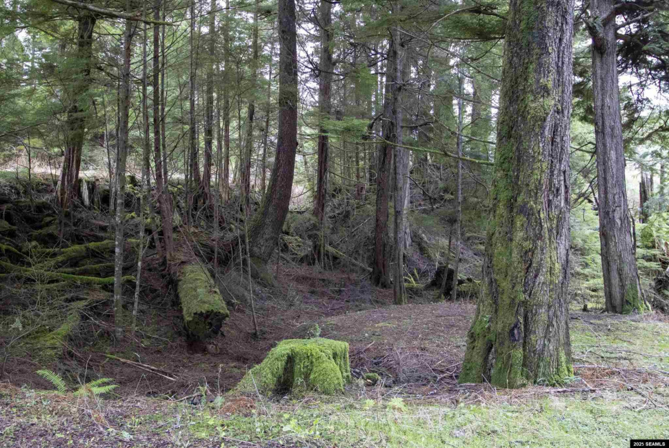 Lot 2 Beacon Hill Lane, Ketchikan, Alaska 99901, ,Single Family/duplex,Land,Beacon Hill Lane,25020