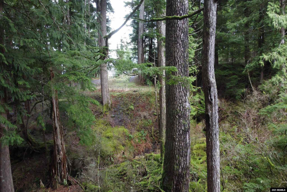 Lot 2 Beacon Hill Lane, Ketchikan, Alaska 99901, ,Single Family/duplex,Land,Beacon Hill Lane,25020