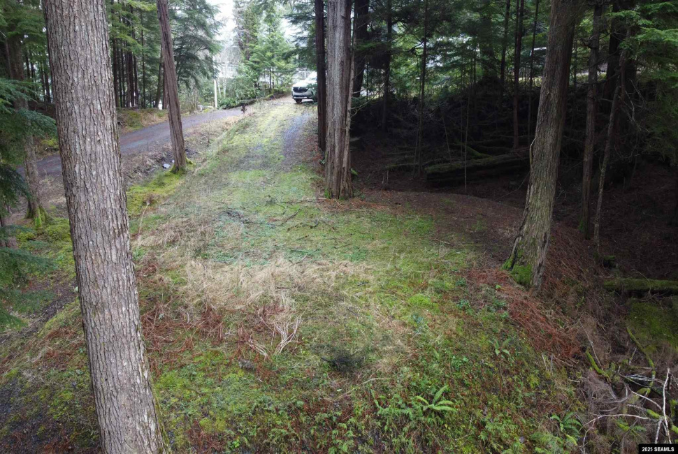 Lot 2 Beacon Hill Lane, Ketchikan, Alaska 99901, ,Single Family/duplex,Land,Beacon Hill Lane,25020