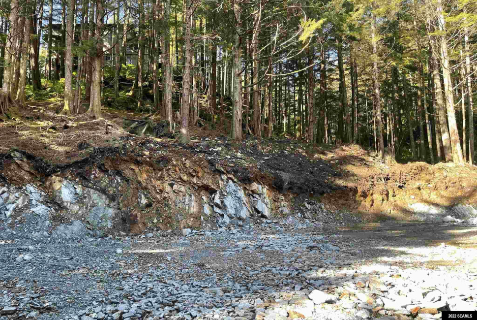 835 Harris Street, Ketchikan, Alaska 99901, ,Single Family/duplex,Land,Harris Street,22824