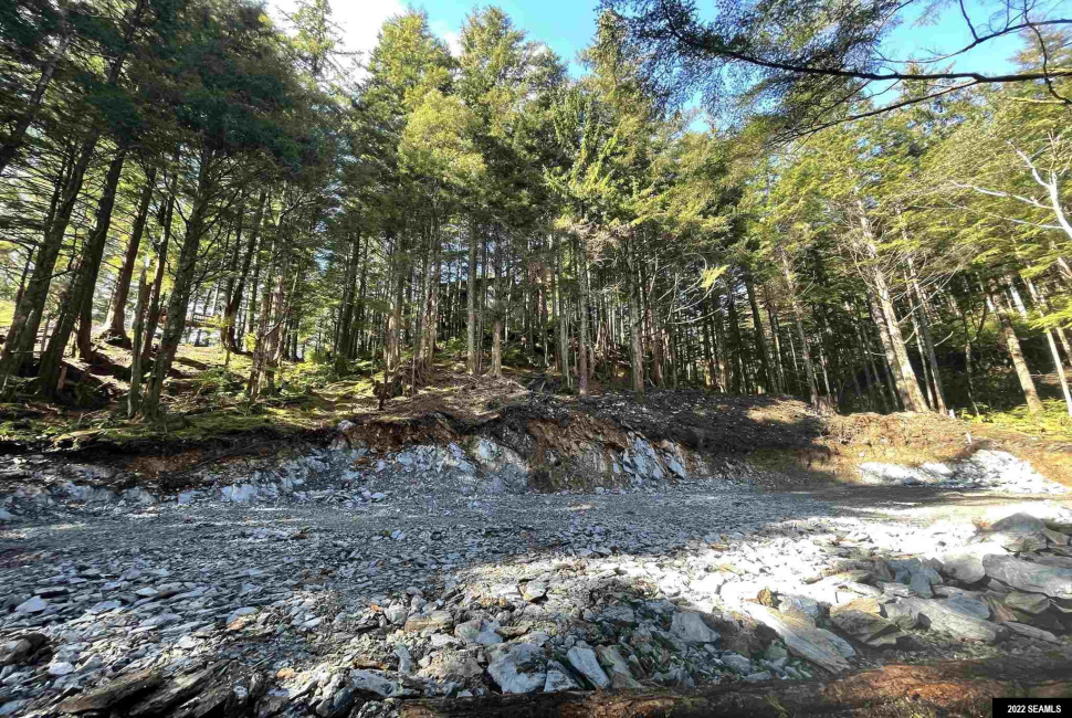 835 Harris Street, Ketchikan, Alaska 99901, ,Single Family/duplex,Land,Harris Street,22824