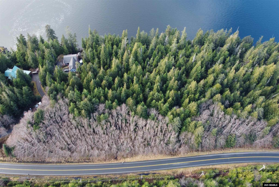 Lot 1 Legal Address Only, Ketchikan, Alaska 99901, ,Single Family/duplex,Land,Legal Address Only,25289