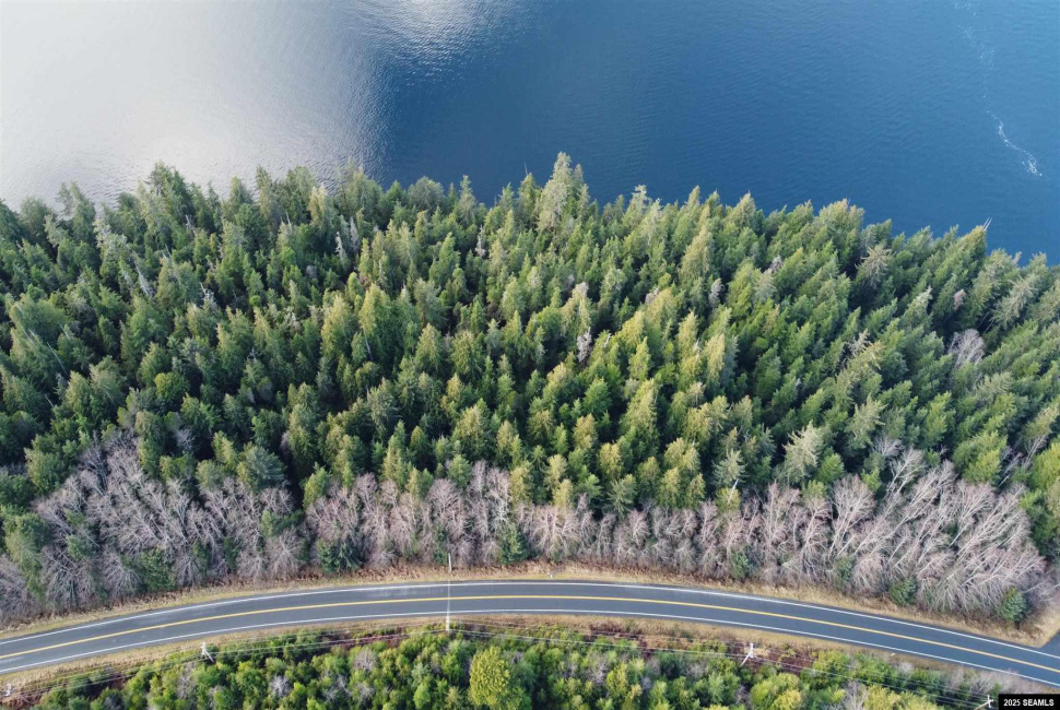 Lot 3 Legal Address Only, Ketchikan, Alaska 99901, ,Single Family/duplex,Land,Legal Address Only,25291