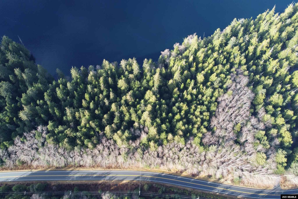 Lot 6 Legal Address Only, Ketchikan, Alaska 99901, ,Single Family/duplex,Land,Legal Address Only,25294