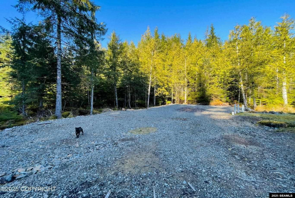L5B Setter Lake Road, Thorne Bay, 99919-1111, 1 Bedroom Bedrooms, ,1 BathroomBathrooms,Single Family,Residential,Setter Lake Road,25373