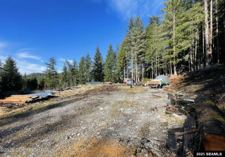 L2B9 Huckleberry Drive, Naukati Bay, Alaska 99950, 0 , 0 ,0,Remote Recreational,Land,Huckleberry Drive,0,25387