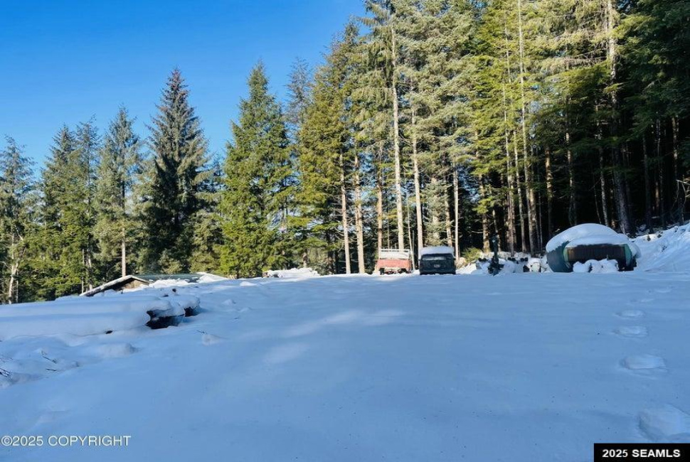 L2B9 Huckleberry Drive, Naukati Bay, Alaska 99950, 0 , 0 ,0,Remote Recreational,Land,Huckleberry Drive,0,25387