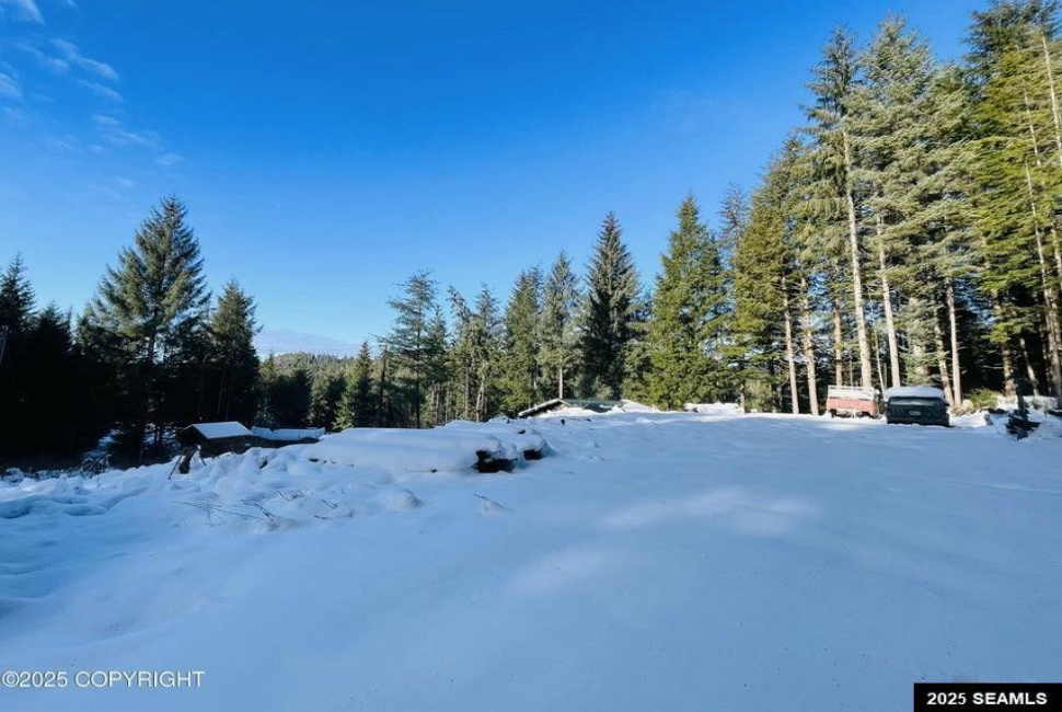 L2B9 Huckleberry Drive, Naukati Bay, Alaska 99950, 0 , 0 ,0,Remote Recreational,Land,Huckleberry Drive,0,25387