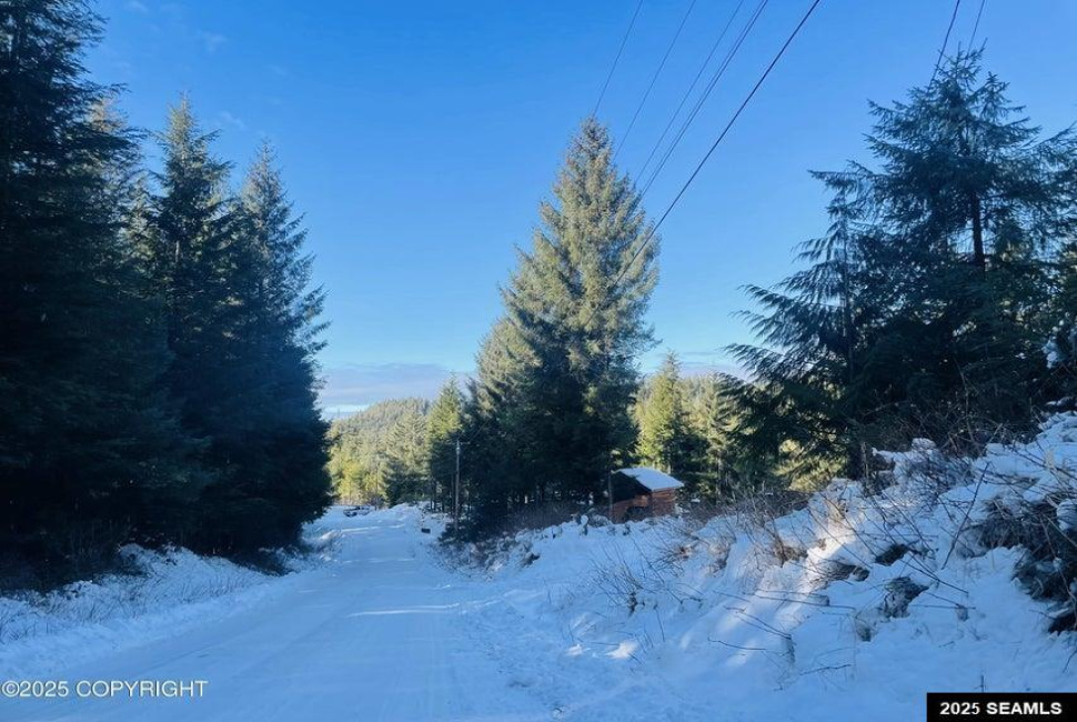 L2B9 Huckleberry Drive, Naukati Bay, Alaska 99950, 0 , 0 ,0,Remote Recreational,Land,Huckleberry Drive,0,25387