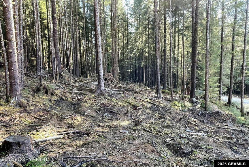 L2B9 Huckleberry Drive, Naukati Bay, Alaska 99950, 0 , 0 ,0,Remote Recreational,Land,Huckleberry Drive,0,25387