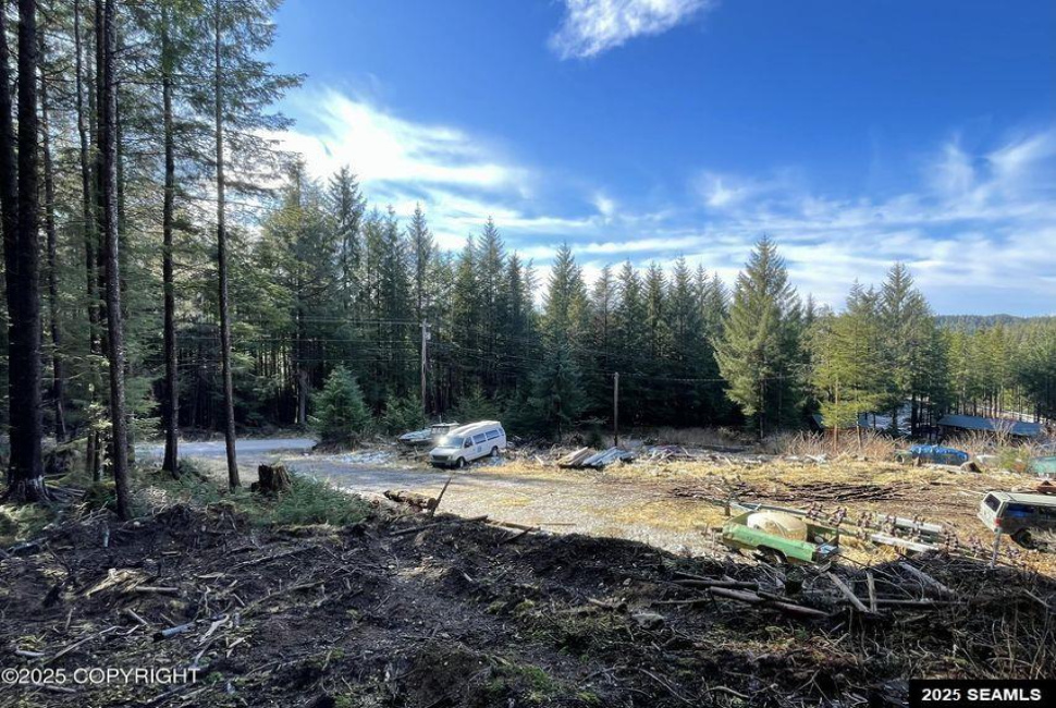 L2B9 Huckleberry Drive, Naukati Bay, Alaska 99950, 0 , 0 ,0,Remote Recreational,Land,Huckleberry Drive,0,25387