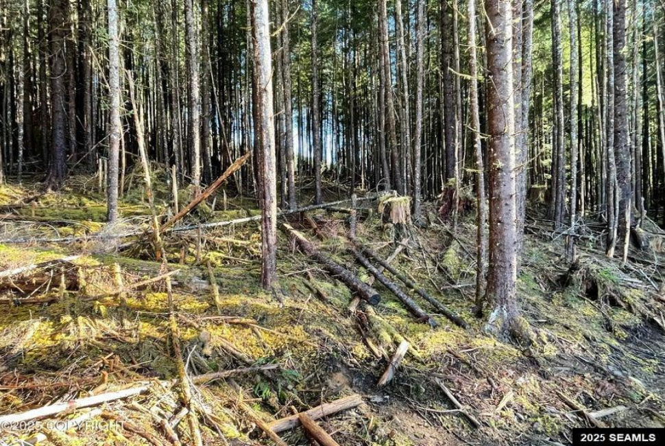 L2B9 Huckleberry Drive, Naukati Bay, Alaska 99950, 0 , 0 ,0,Remote Recreational,Land,Huckleberry Drive,0,25387