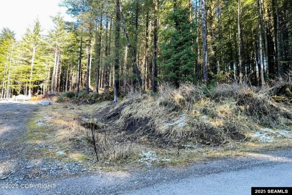 L2B9 Huckleberry Drive, Naukati Bay, Alaska 99950, 0 , 0 ,0,Remote Recreational,Land,Huckleberry Drive,0,25387