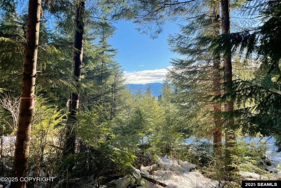 L7B13 Bayview Drive, Naukati Bay, Alaska 99950, 0 , 0 ,0,Other-see Remarks,Land,Bayview Drive,0,25388