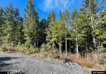 L7B13 Bayview Drive, Naukati Bay, Alaska 99950, 0 , 0 ,0,Other-see Remarks,Land,Bayview Drive,0,25388