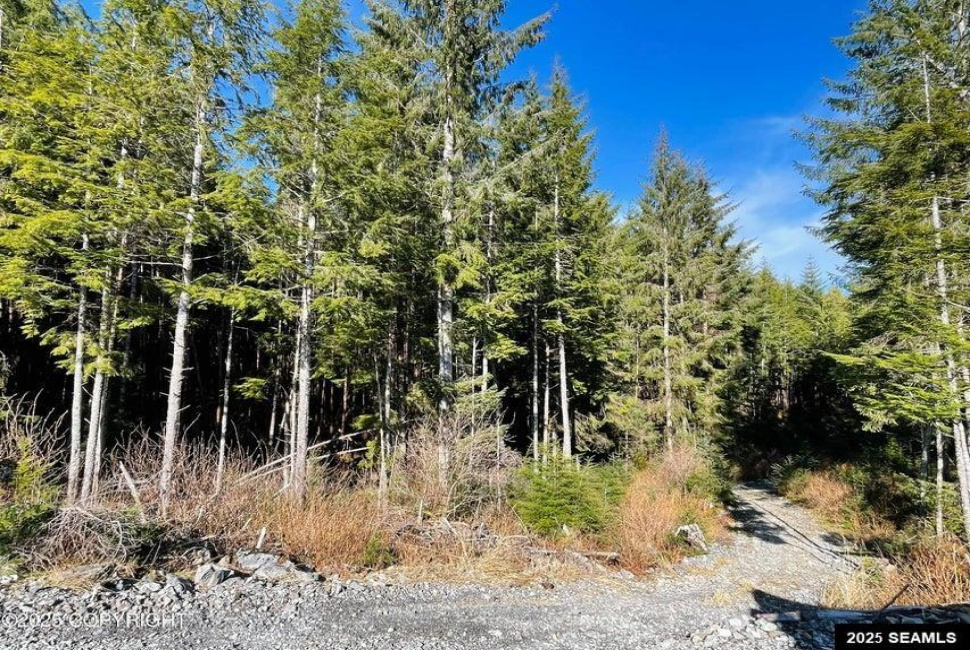 L7B13 Bayview Drive, Naukati Bay, Alaska 99950, 0 , 0 ,0,Other-see Remarks,Land,Bayview Drive,0,25388