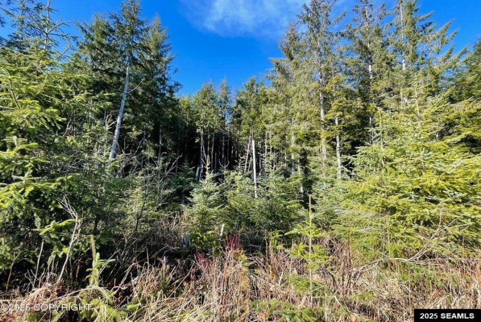 L7B13 Bayview Drive, Naukati Bay, Alaska 99950, 0 , 0 ,0,Other-see Remarks,Land,Bayview Drive,0,25388
