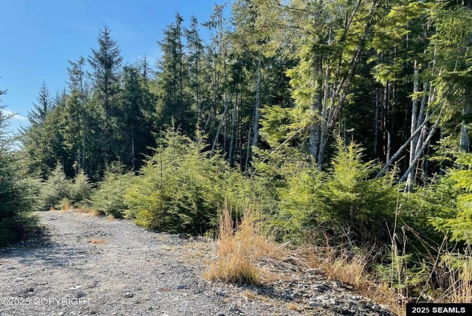 L7B13 Bayview Drive, Naukati Bay, Alaska 99950, 0 , 0 ,0,Other-see Remarks,Land,Bayview Drive,0,25388