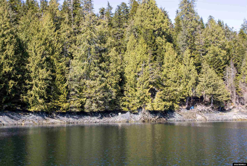 Lot 14 No Street Given, Ketchikan, Alaska 99901, ,Remote Recreational,Land,No Street Given,24262
