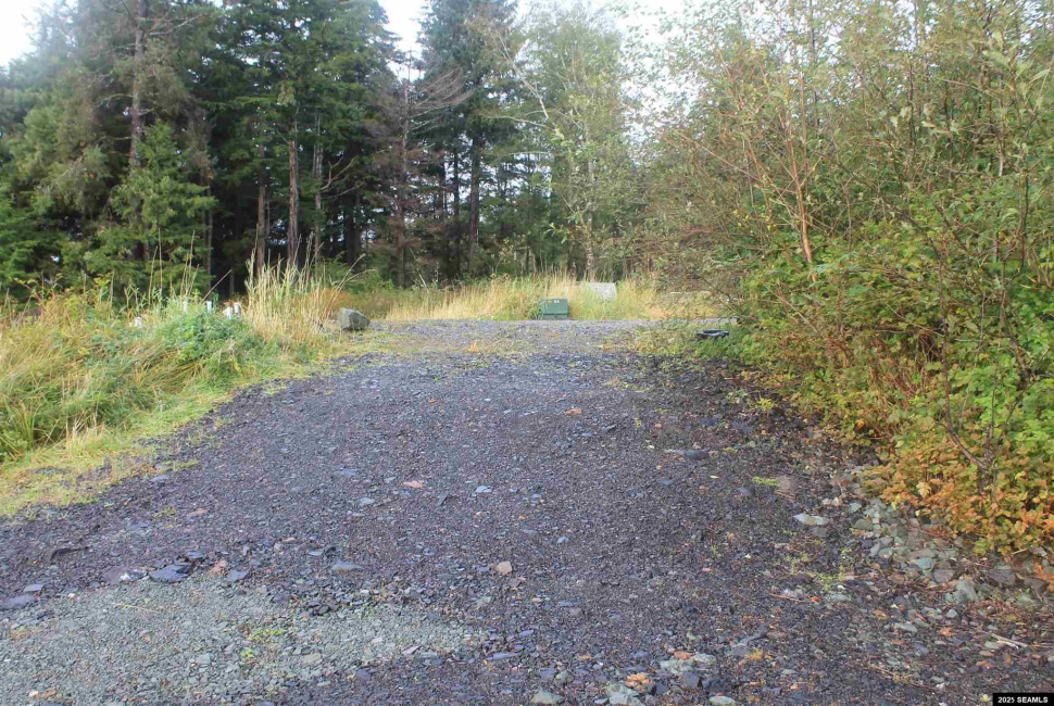 1465 Elizabeth Court, Craig, Alaska 99921, ,Remote Recreational,Land,Elizabeth Court,25438