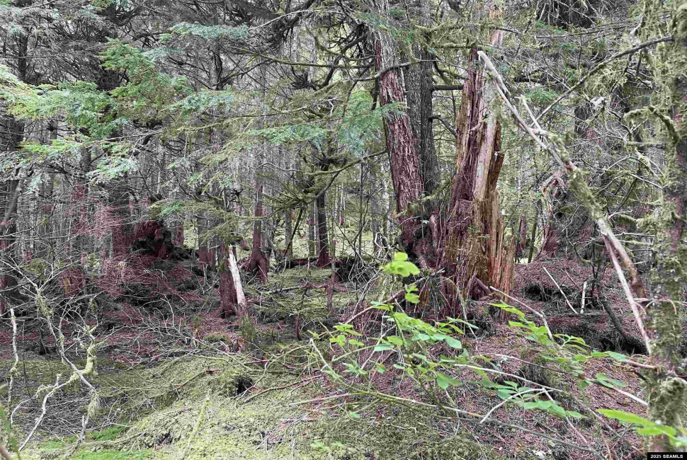 NHN Legal Address Only, Ketchikan, Alaska 99901, ,Remote Recreational,Land,Legal Address Only,25533