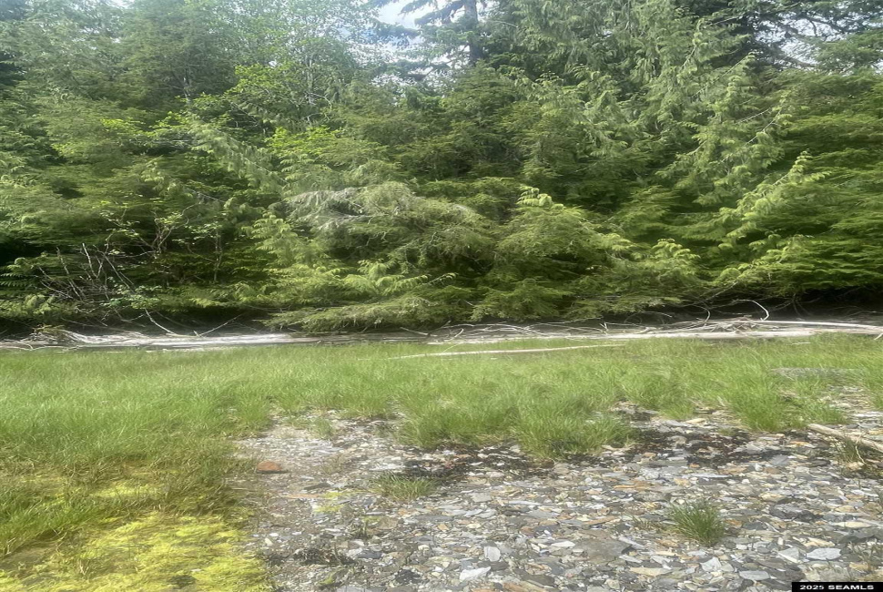 NHN Legal Address Only, Ketchikan, Alaska 99901, ,Remote Recreational,Land,Legal Address Only,25533