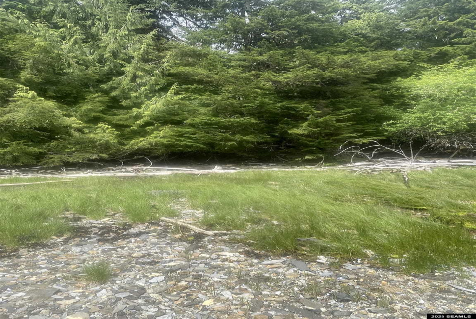 NHN Legal Address Only, Ketchikan, Alaska 99901, ,Remote Recreational,Land,Legal Address Only,25533