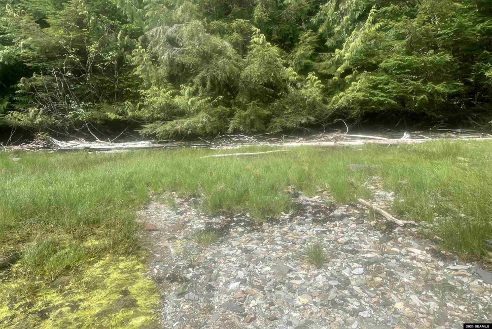 NHN Legal Address Only, Ketchikan, Alaska 99901, ,Remote Recreational,Land,Legal Address Only,25533