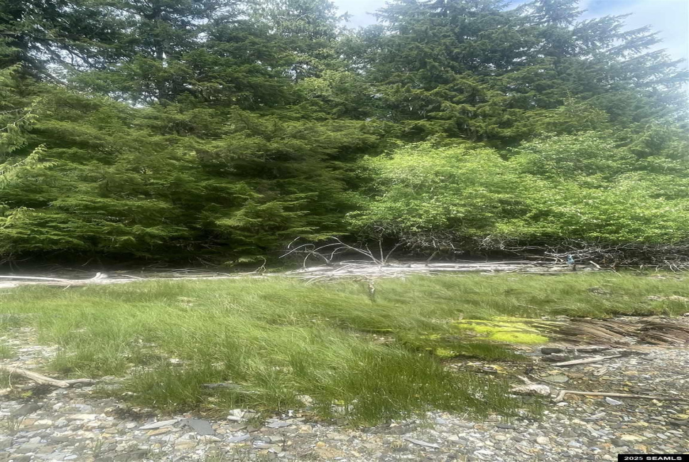 NHN Legal Address Only, Ketchikan, Alaska 99901, ,Remote Recreational,Land,Legal Address Only,25533