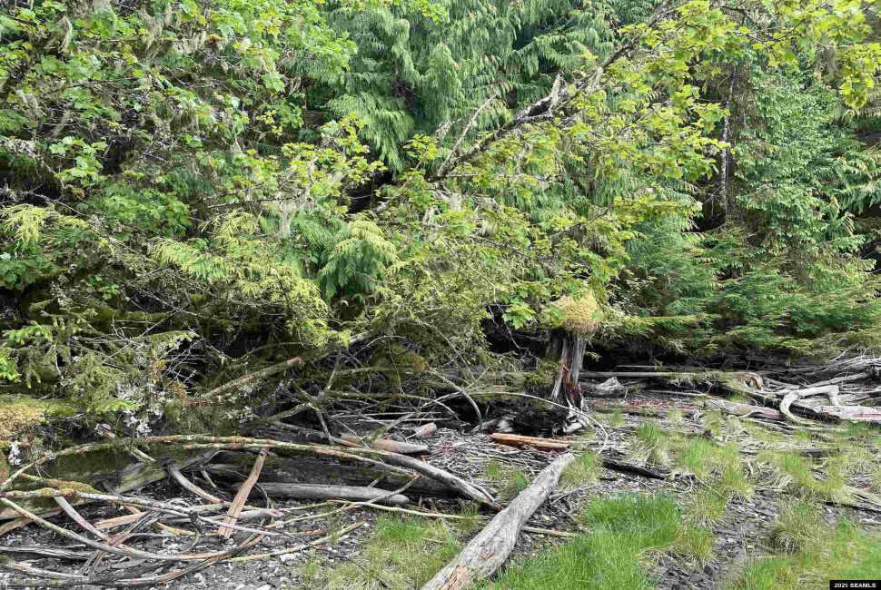 NHN Legal Address Only, Ketchikan, Alaska 99901, ,Remote Recreational,Land,Legal Address Only,25533