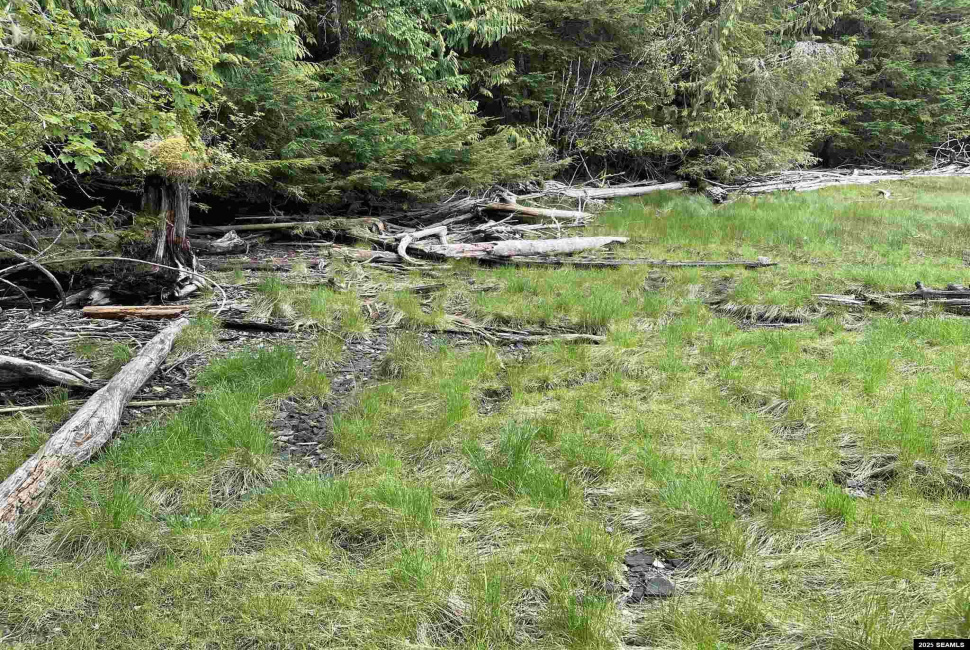 NHN Legal Address Only, Ketchikan, Alaska 99901, ,Remote Recreational,Land,Legal Address Only,25533