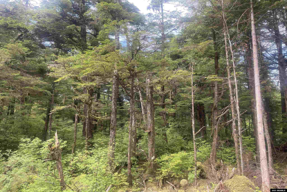 St not on list see add2, Ketchikan, Alaska 99901, 0 , 0 ,0,Single Family/duplex,Land,St not on list see add2,0,25662