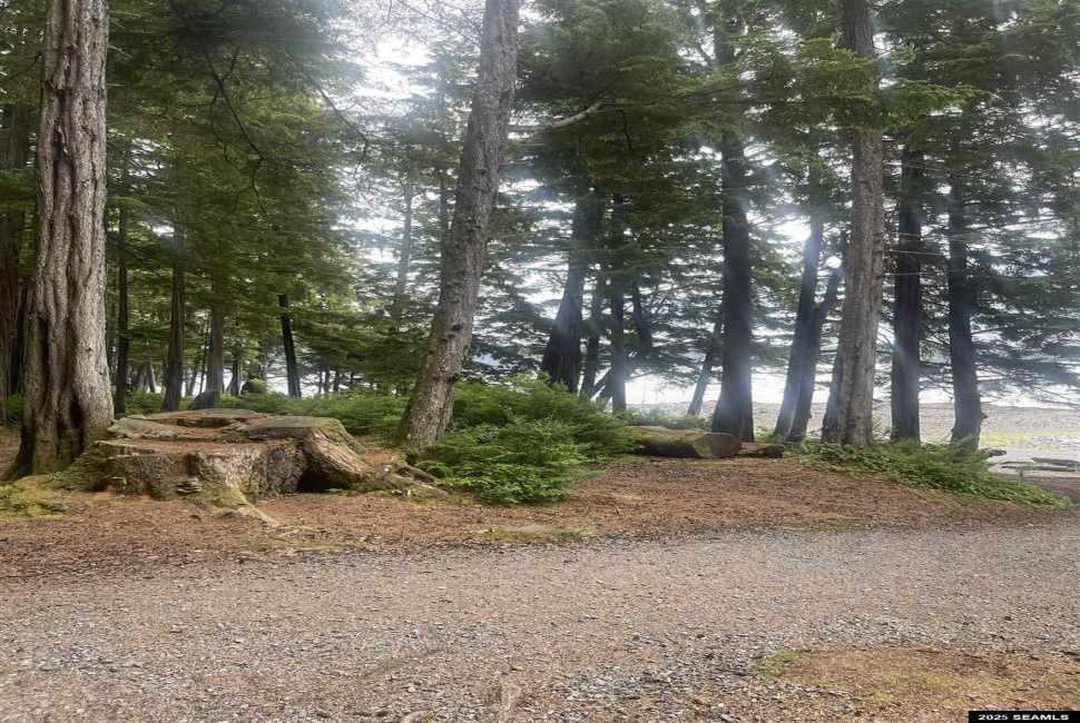 St not on list see add2, Ketchikan, Alaska 99901, 0 , 0 ,0,Single Family/duplex,Land,St not on list see add2,0,25662