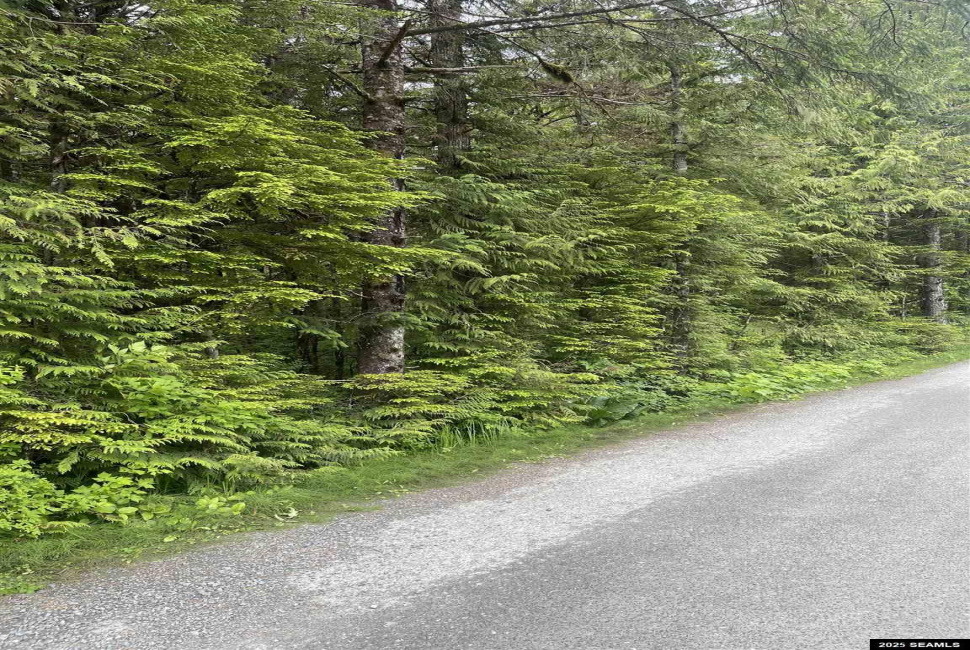 St not on list see add2, Ketchikan, Alaska 99901, 0 , 0 ,0,Single Family/duplex,Land,St not on list see add2,0,25662