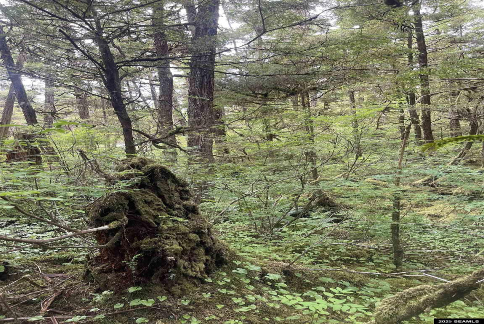 St not on list see add2, Ketchikan, Alaska 99901, 0 , 0 ,0,Single Family/duplex,Land,St not on list see add2,0,25662