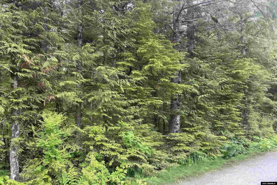St not on list see add2, Ketchikan, Alaska 99901, 0 , 0 ,0,Single Family/duplex,Land,St not on list see add2,0,25662
